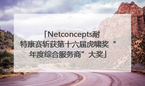 Netconcepts耐特康赛斩获第十六届虎啸奖“年度综合服务商”大奖
